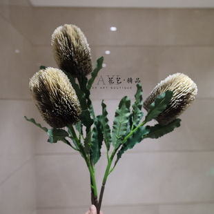 南非班克木仿真花帝王花公主花小众花艺素材玄关花艺黑美人佛塔