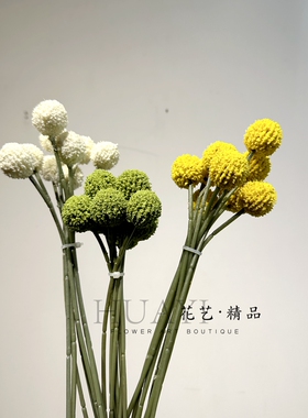 花艺精品仿真黄金球金黄果