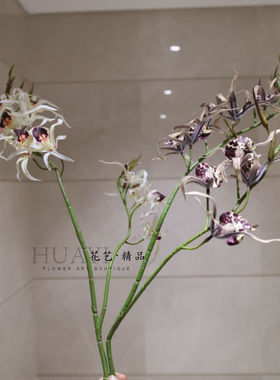 仿真兰花枝条紫色白色家居装饰插花假花千鸟兰惠兰石斛花桌面花艺