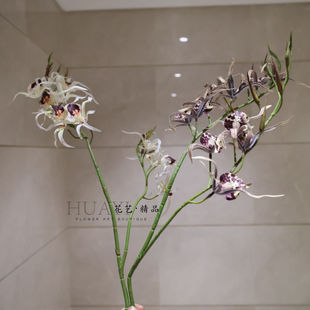 仿真兰花枝条紫色白色家居装饰插花假花千鸟兰惠兰石斛花桌面花艺