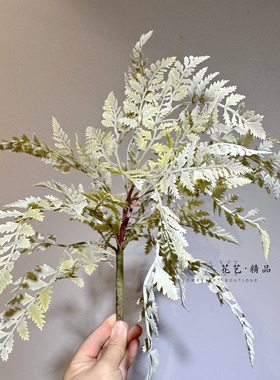 手感保湿蕨草仿真波斯草波士顿蕨地被造景植物鱼缸装饰美陈道具