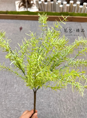 灰绿色造景摆件植物花卉松针天门冬花艺道具仿真水草松草