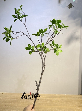 马醉木仿真花禅意简约叶多瓣叶枝样板房玄关阳台绿植物装饰摆设
