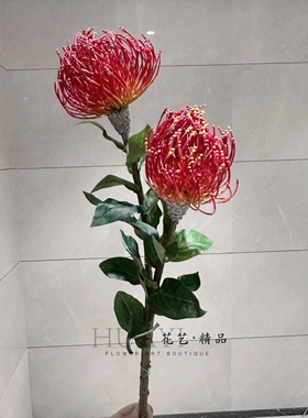 红色系南非针垫仿真针菊花造景花艺装饰花落地摆件婚礼堂装饰