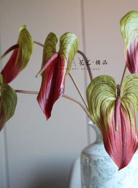 渐变色仿真花烛红掌火鹤热带植物网红绿植花艺装饰拍摄道具绿掌