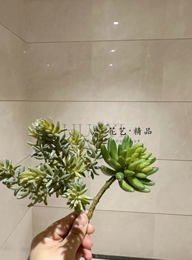 仿真多肉植物绿色北欧风室内装饰摆件客厅桌面小盆栽金钱串宝莲花