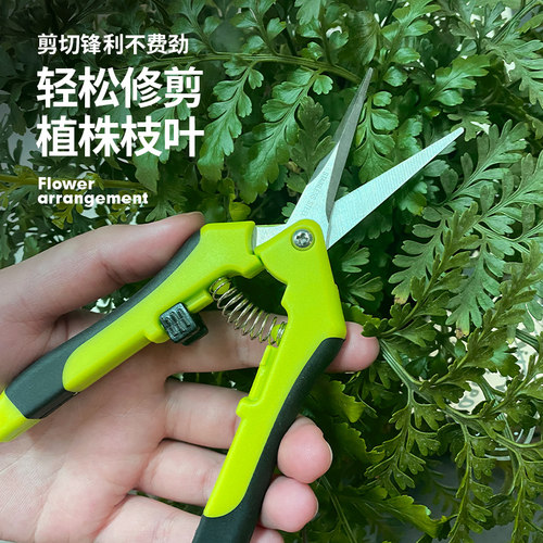 修枝剪花艺加长剪刀剪葡萄粒的剪刀果剪葡萄剪修枝剪园艺采摘果剪
