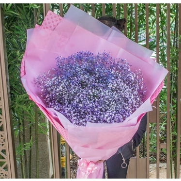 福建晋安金鸡山公园福新路东二环泰禾广场鲜花店蛋糕店速递玫瑰