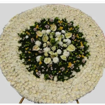 凯里市北京西路清江路环城西路营盘西路经济开发区速递白事花圈清