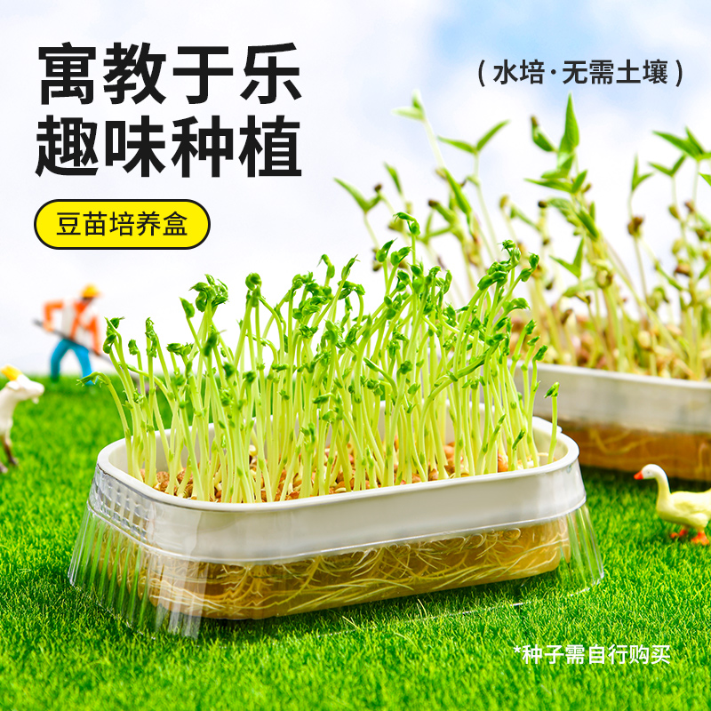 日本豆芽发芽盆无土栽培豆苗水培蔬菜设备苗菜育苗托盘猫草种植
