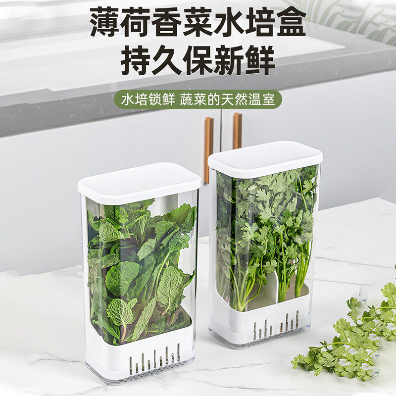香菜小葱水培保鲜盒大蒜香草薄荷蒜苗芦笋水养冰箱收纳盒保鲜神器