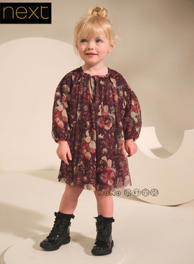英国Next正品代购女童25新款长袖紫色碎花网纱连衣裙AP9-480