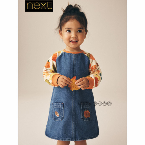 英国Next代购女童牛仔南瓜印花刺绣全棉长袖连衣裙1-8岁W21-143