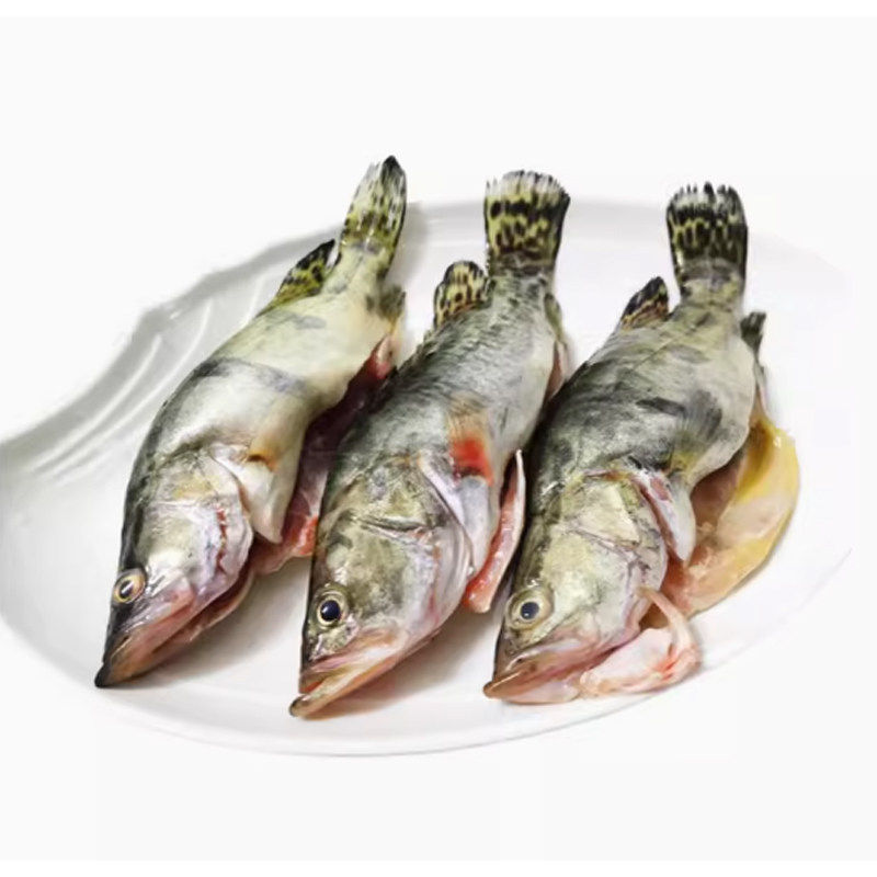 桂花鱼小鳜鱼新鲜淡水鲜活免处理清蒸开肚整条水产整箱商用顺丰,水产肉类/新鲜蔬果/熟食,鲈鱼,淘宝优惠券,粉丝福利购,淘宝优惠卷
