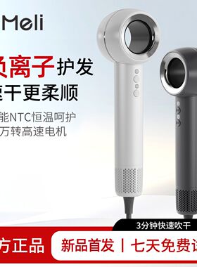 台规110v电压高速无刷电机吹风机恒温大风速家用护发电吹风芯美力