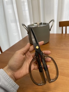 家用厨房烘焙剪红枣辅食料理剪刀 高颜值复古北欧ins不锈钢剪刀