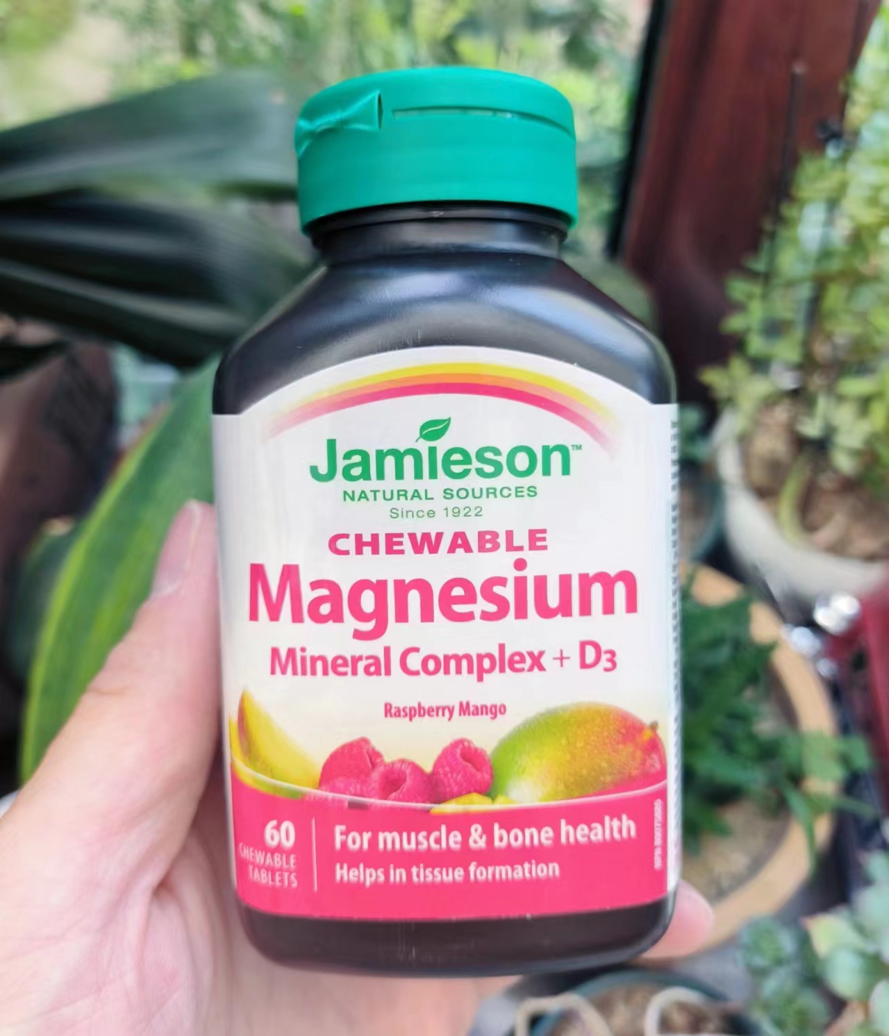 代购  Jamieson钙镁维D复合十种矿物质咀嚼片 60粒 芒果树莓味