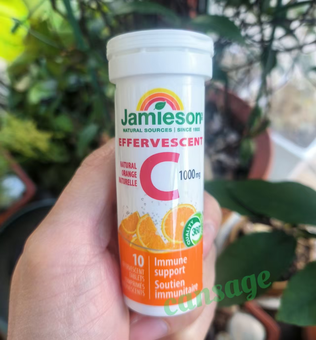 Jamieson/健美生维生素C泡腾片