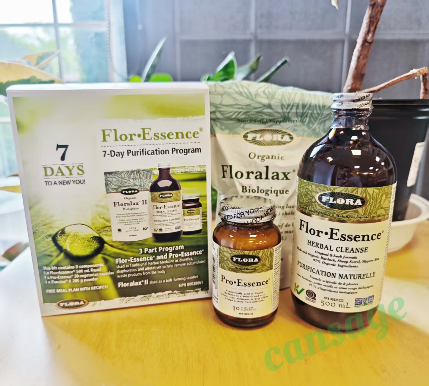 7天净化套装FloraEssence