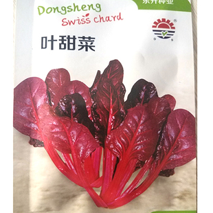 红叶甜菜种子 叶甜菜种子 彩色蔬菜种子 盆栽观赏春秋蔬菜种子 5g