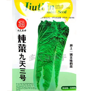 炖菜九天三号种子 秋播大白菜种子 腌制酸菜开锅烂口感好大白菜籽