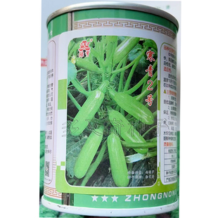 寒青2号西葫芦种子  温室越冬早春大棚翠绿高产角瓜种子采收期长