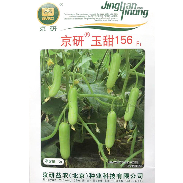 京研玉甜156黄瓜种子 春迷你绿白色水果黄瓜种子全雌绿瓤味甜浓厚图片