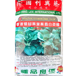 香港矮脚黑叶葵扇白菜种子 广东四季播耐湿热抗雨奶白菜蔬菜种子
