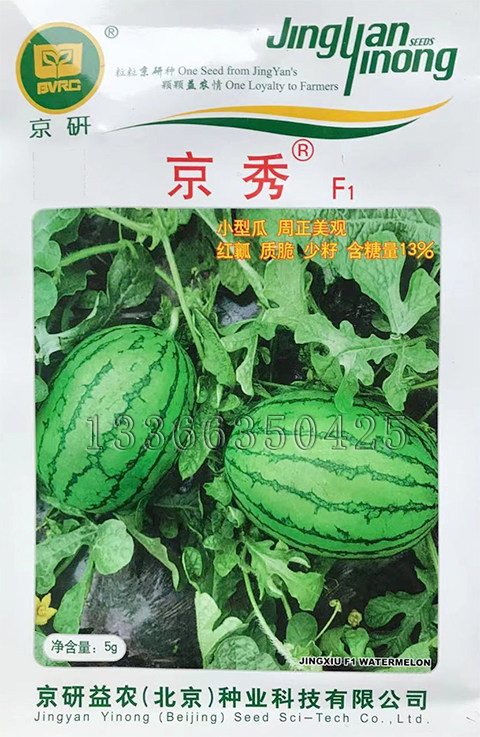 京秀西瓜种子 肉质脆嫩 京研早熟小型西瓜种子 红玉西瓜水果种子图片