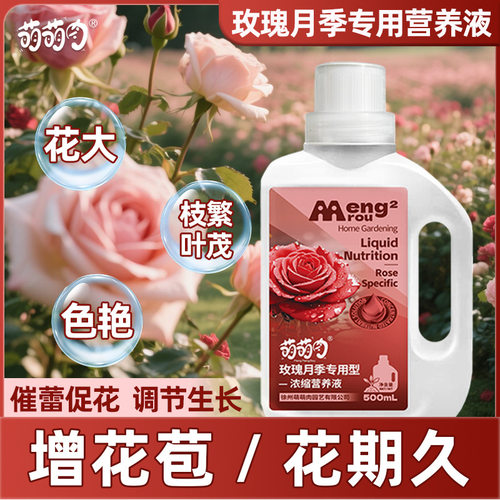 玫瑰月季专用营养液改善叶黄多发新叶调节身生长增加花期促进开花