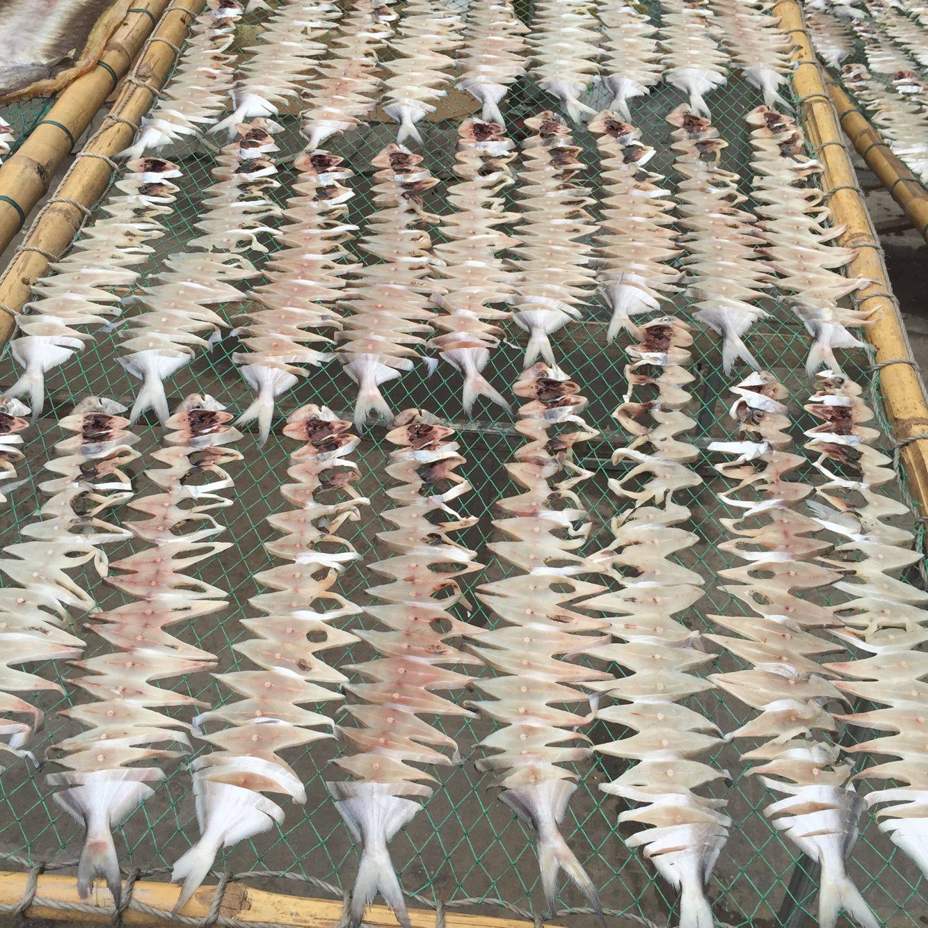 温州特产美食鲳鱼干自晒 新鲜美味 鲳鱼鲞 鲳鱼肉干250克,水产肉类/新鲜蔬果/熟食,鱼干,淘宝优惠券,粉丝福利购,淘宝优惠卷