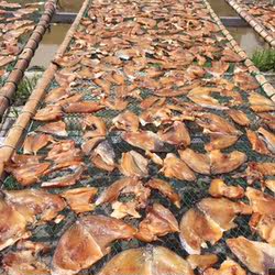 温州特产 海鲜大黄鱼干 黄鱼鳖 酱晒大黄鱼 500克 大黄鱼黄鱼片