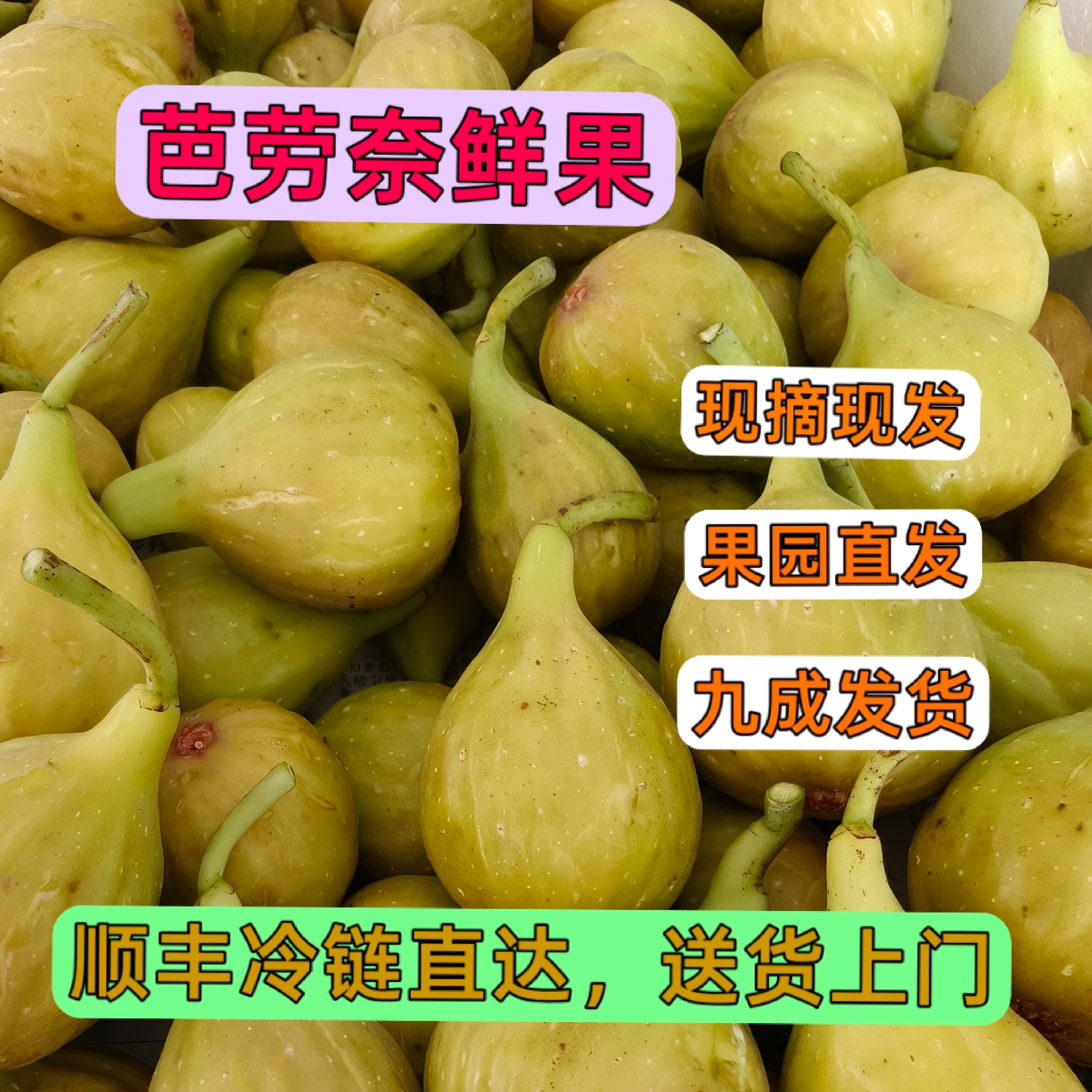 芭劳奈无花果新鲜当季现摘冰糖心无花果孕妇水果果园直发顺丰净重