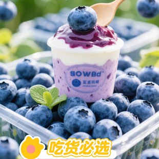净重2斤中小果新鲜蓝莓新鲜现摘现发花香蓝莓果园直发包邮