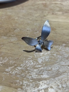 极光以南原创纯银蝴蝶戒指女轻奢小众设计感高级感百搭开口戒时尚