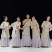 大摆裙套装 清风徐来演出服新款 宽松圆领明制外衫 夜泊秦淮舞蹈服装