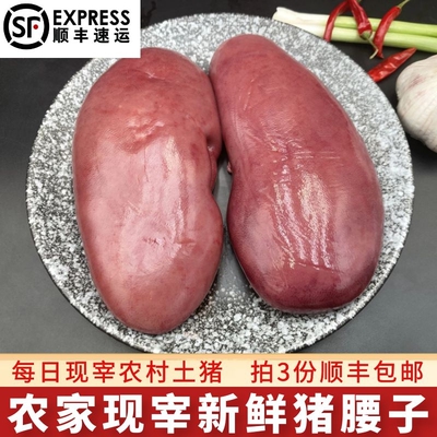 猪腰子新鲜冷冻顺丰包邮