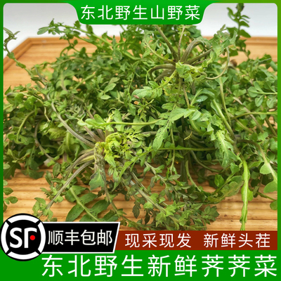 东北山野菜 野生荠荠菜 250g 山菜 蘸酱菜食用野菜 拍4份顺丰包邮