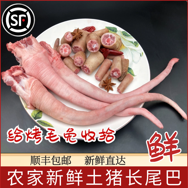 尾巴农家土猪新鲜冷冻1根毛免