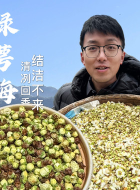 新货精选绿萼梅|绿萼白梅花干花苞|无薰无硫|饱满花苞|花茶养生茶