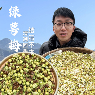 新货精选绿萼梅|绿萼白梅花干花苞|无薰无硫|饱满花苞|花茶养生茶