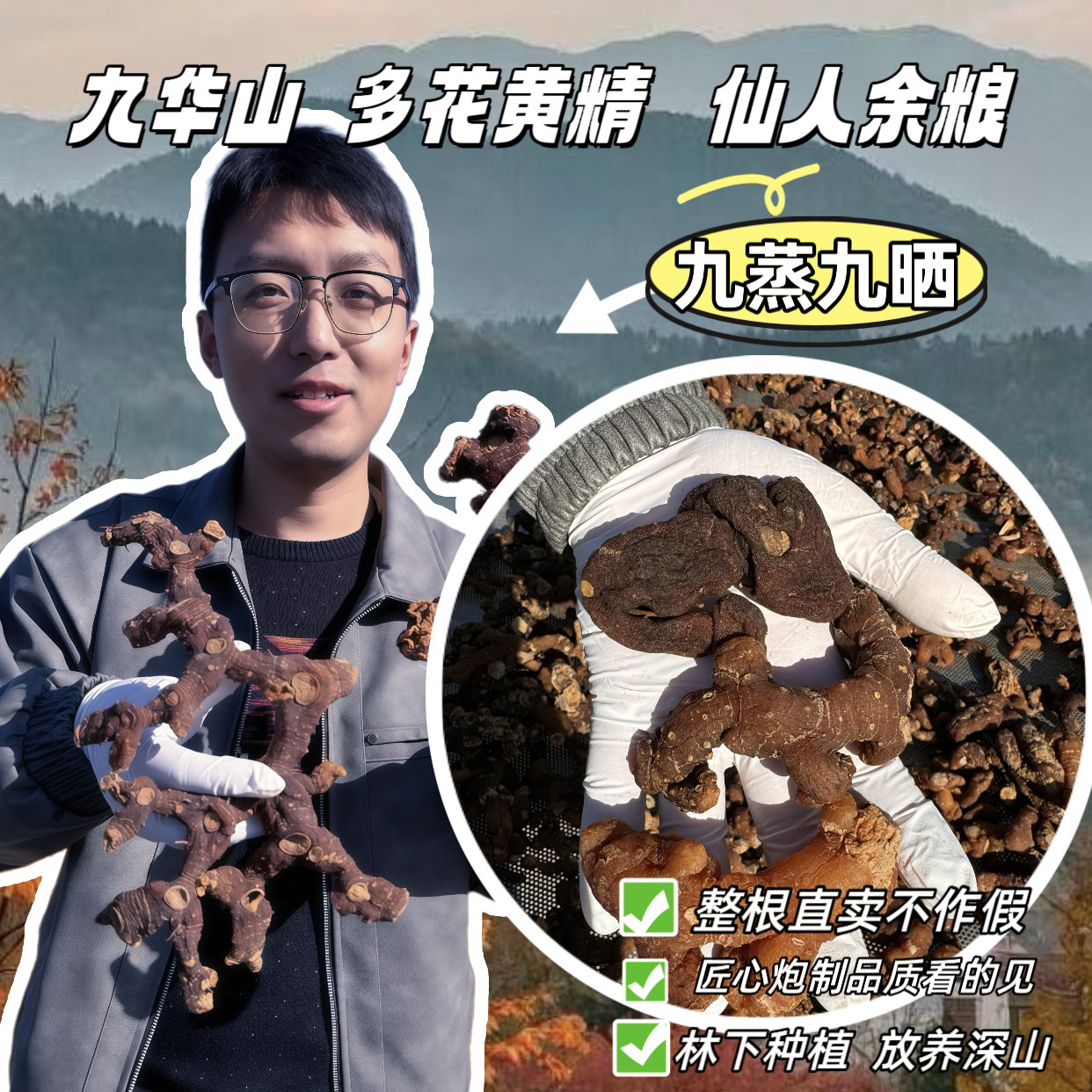 【九蒸九晒深山黄精】多花黄精/黄精果/辟谷养生代餐即食/九华山