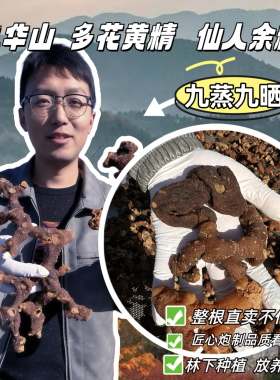 【九蒸九晒深山黄精】多花黄精/黄精果/辟谷养生代餐即食/九华山
