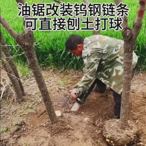 进口钨链条钢油锯改装挖苗木树根