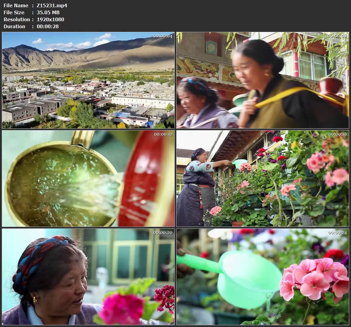 藏族居民建筑群山脉妇女打水浇花盆栽高清视频素材