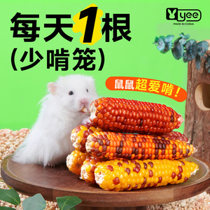 仓鼠磨牙迷你小玉米金丝熊零食龙猫豚鼠兔子营养粮食互动玉米棒