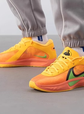 Nike ZOOM FREAK字母哥运动实战篮球鞋DX4996-003-700 FJ7807-601