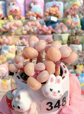 H 手捧桃蛋盆口2.5c m