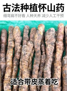弯曲扁丑古法种植新鲜河南焦作温县硬垆土地铁棍山药怀山药5斤淮