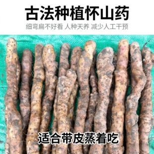 弯曲扁丑古法种植新鲜河南焦作温县硬垆土地铁棍山药怀山药5斤淮